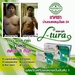 รูปย่อ L-TURA  : เปิดประสบการณ์ใหม่สำหรับคนที่อ้วนแล้วลดยาก ดื้อยา โดนโยโย่มา ผิวโทรมหมองคล้ำ หรือปัญหามากมาย!! รูปที่4