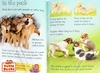 รูปย่อ (Age 3 - 12) ดีมากๆ! ชุดฝึกอ่าน เสริมความรู้ชีวิตสัตว์ 20 เล่ม Usborne Beginners Animal Collection (20 Books)  รหัสสินค้ รูปที่2