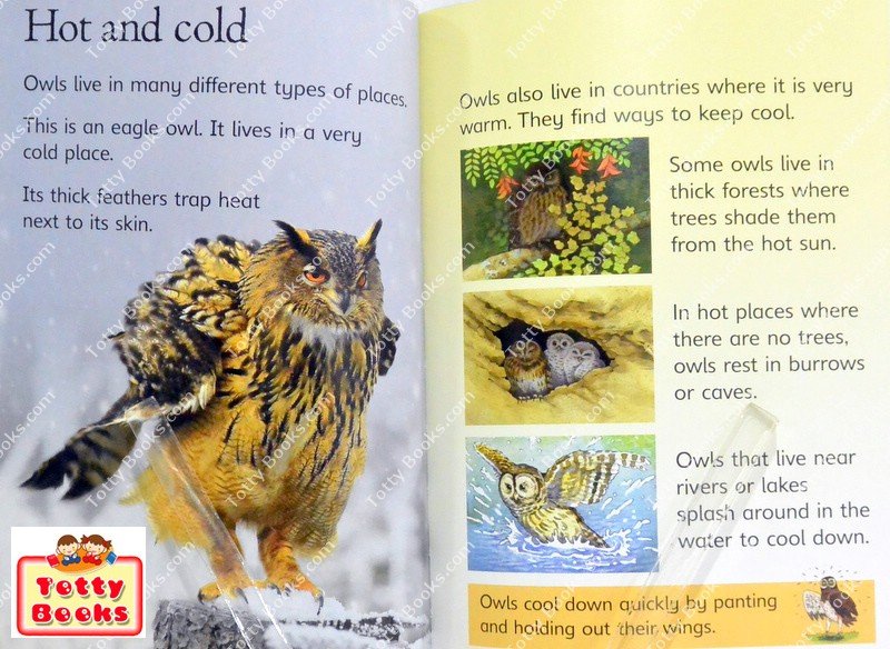 (Age 3 - 12) ดีมากๆ! ชุดฝึกอ่าน เสริมความรู้ชีวิตสัตว์ 20 เล่ม Usborne Beginners Animal Collection (20 Books)  รหัสสินค้ รูปที่ 7