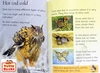รูปย่อ (Age 3 - 12) ดีมากๆ! ชุดฝึกอ่าน เสริมความรู้ชีวิตสัตว์ 20 เล่ม Usborne Beginners Animal Collection (20 Books)  รหัสสินค้ รูปที่6