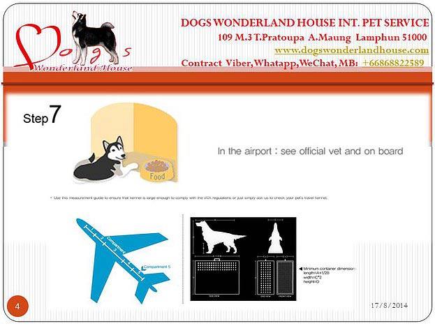 บริการส่งออกสุนัขและแมว , ลูกสุนัข www.dogswonderlandhouse.com/th รูปที่ 7