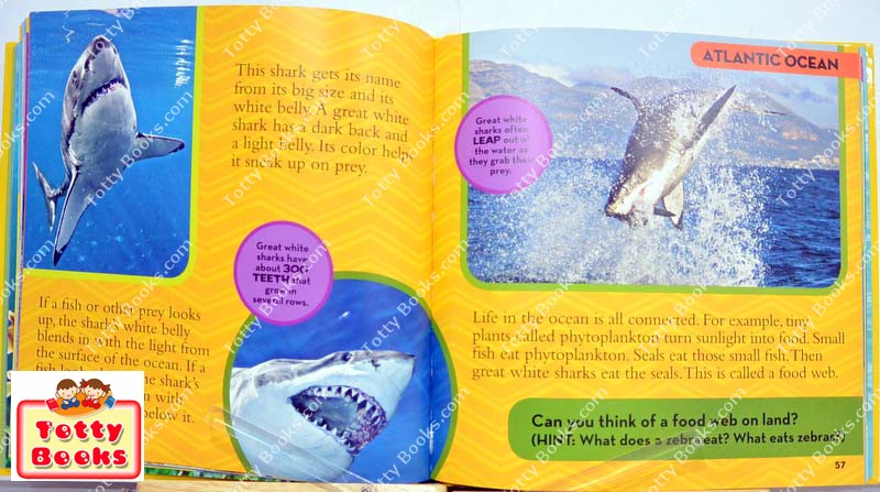 (Age 3 - 8) หนังสือเด็กพัฒนา EQ/MQ ขจัดความกังวล Feeling Worried (Let's Talk About, Joy Berry) รูปที่ 3