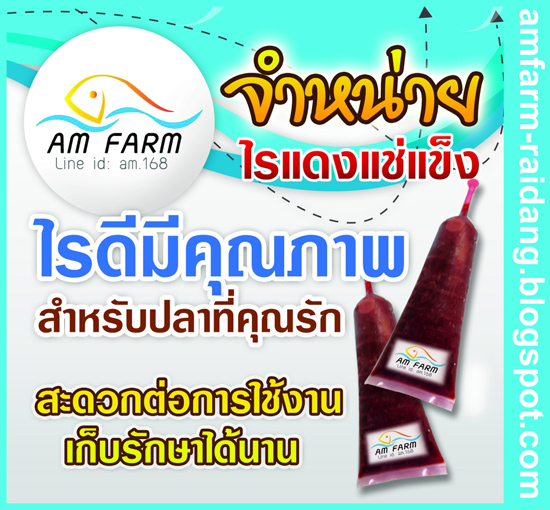 ไรแดงแช่แข็ง ไรแดง คุณภาพดี การันตีโดย เอเอ็มฟาร์ม ไรแดง รูปที่ 2