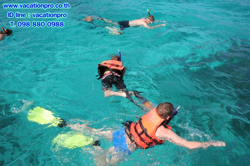 ทัวร์ภูเก็ต 1 วัน แพ็คเกจเที่ยวทัวร์ เกาะสิมิลัน ราคาถูก รูปที่ 6