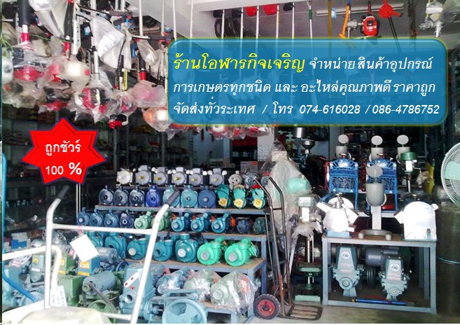 เครื่องตัดหญ้า RBC411 NB411 CG260 อะไหล่เครื่องตัดหญ้า อุปกรณ์การเกษตรครบครัน รูปที่ 1