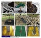 รูปย่อ PSD Perforated pavement around tree bollards กรอบตะแกรงปกป้องรอบโคนต้นไม้ รูปที่7