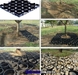 รูปย่อ PSD Pedestrian Safe Tree Grates and Trench Grates กรอบตะแกรงปกป้องรอบโคนต้นไม้ รูปที่5