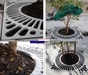 รูปย่อ PSD Perforated pavement around tree bollards กรอบตะแกรงปกป้องรอบโคนต้นไม้ รูปที่4