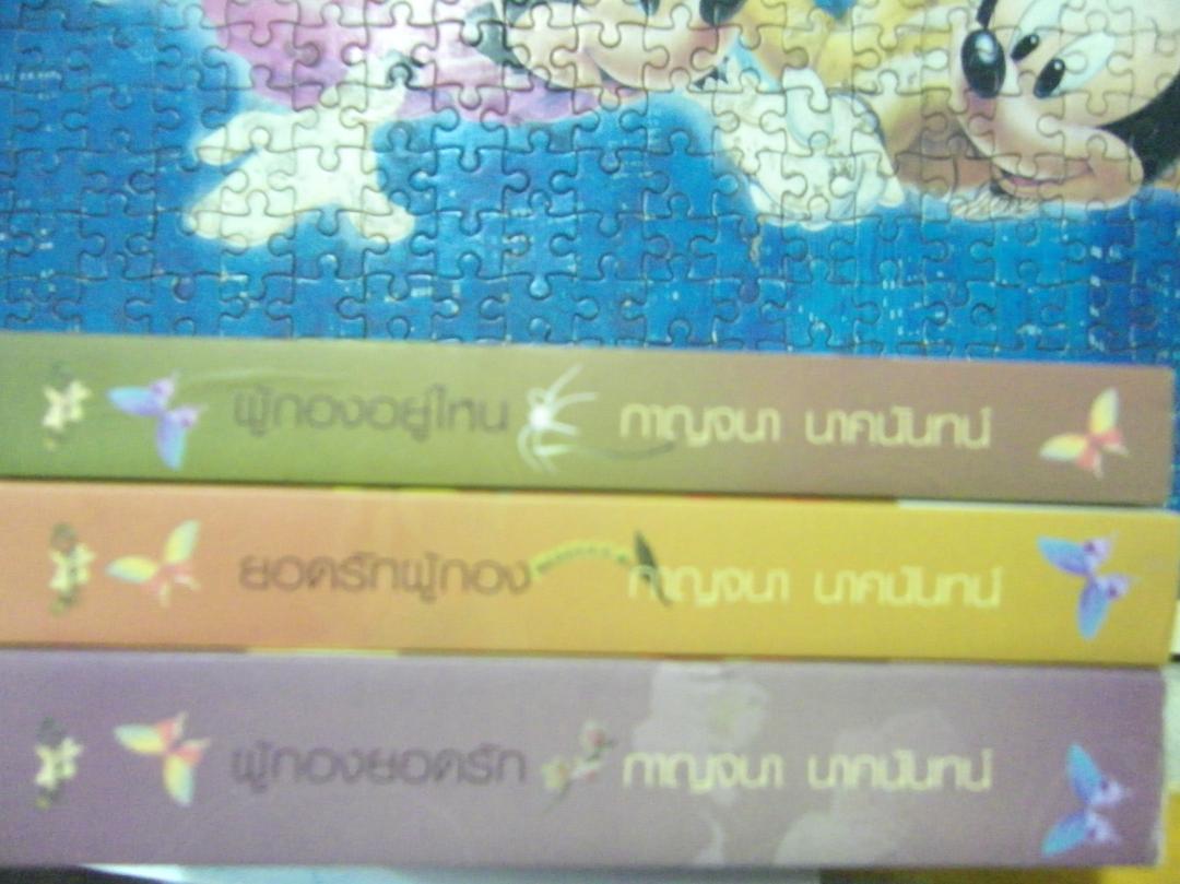 ขายนวนิยาย พ็อคเก็ตบุ๊ค บทสรุปเกม Howto การ์ตูน หนังสือหายากทุกสนพ. รูปที่ 6