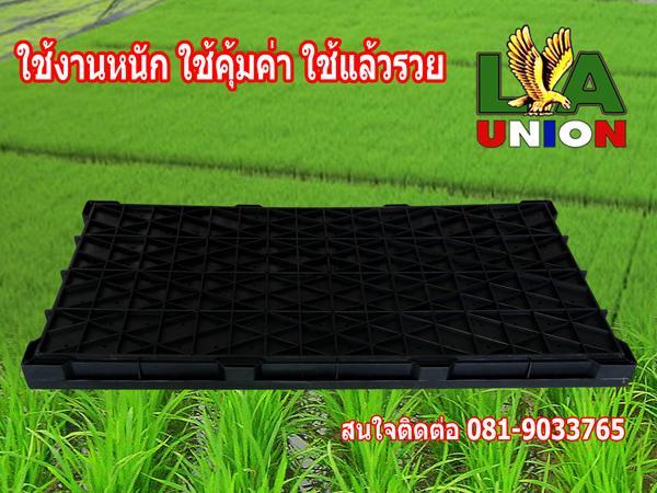 ถาดเพาะกล้า คุณภาพดี สำหรับรถดำนา เพาะต้นอ่อนถานตะวัน รูปที่ 3