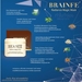 รูปย่อ Brainfe Radiance Magic Mask 30g ครีมมาส์กหน้าก่อนนอน เห็นผลใน 1 คืน รูปที่2