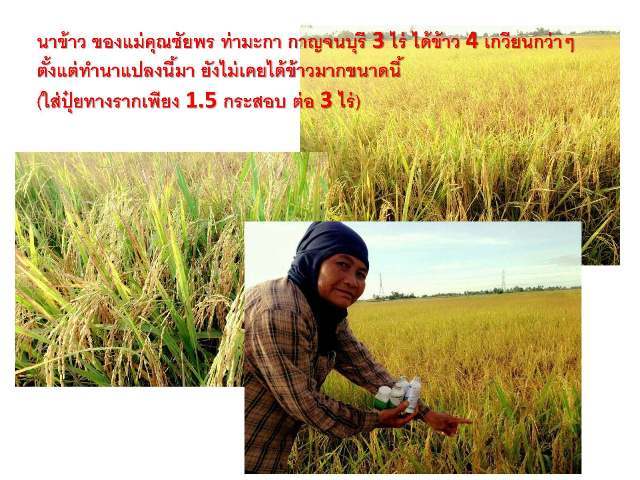 จำหน่าย มูลไก่ไข่ผงและอัดเม็ด เติม EM, นาโนแคปซูล มีใบรับรองแร่ธา รูปที่ 7