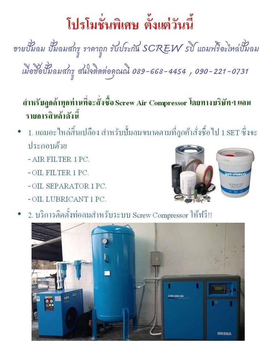 ขายปั๊มลม ปั๊มลมสกรู ปั๊มลมราคาถูก รับประกัน SCREW AIR END 5ปี แถ รูปที่ 1