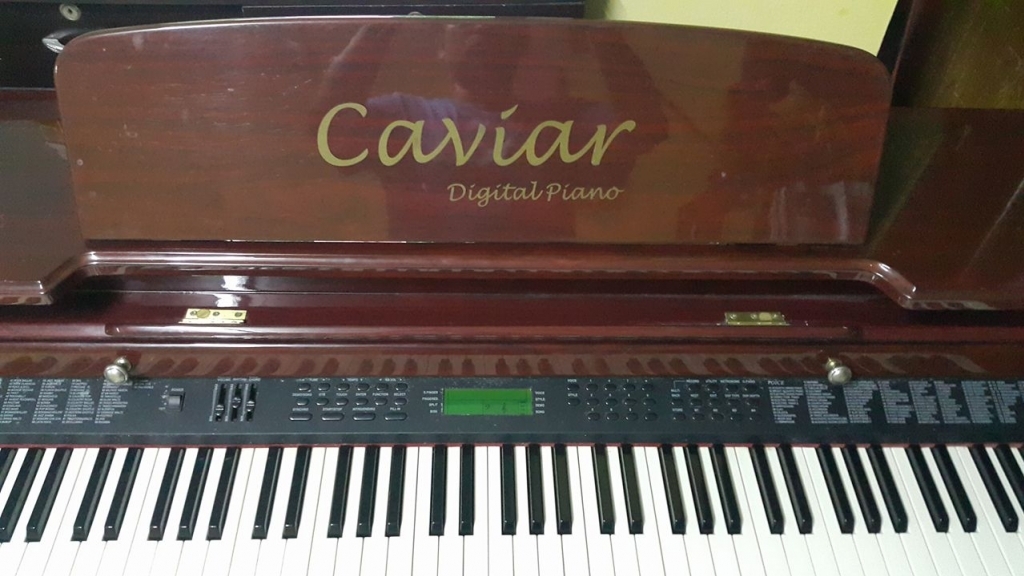 CAVIAR PIANO TG8834D มือสองสภาพดี รูปที่ 1