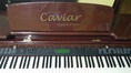 CAVIAR PIANO TG8834D มือสองสภาพดี