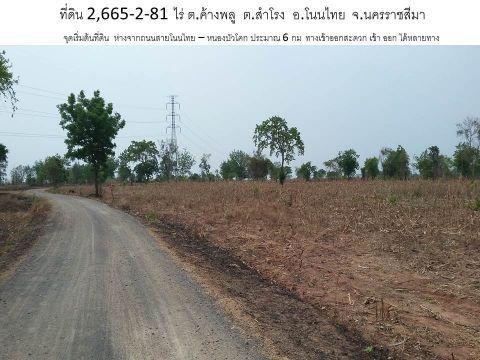 ขายที่ดิน 2665 ไร่ ตำบลค้างพลู ตำบลสำโรง อำเภอโนนไทย จังหวัดนครรา รูปที่ 1
