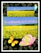 รูปย่อ รับสอนภาษาอังกฤษผ่านPhone,Line ,whatapp,skypeครั้งละ97บาทpabsecret@yahoo.com  รูปที่5