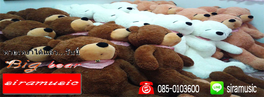 ตุ๊กตาหมี ตัวใหญ่ รูปที่ 5