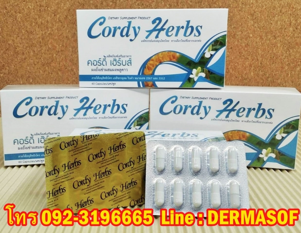 คอร์ดี้เอช Cordy Herbs เสริมสร้างภูมิสมดุล สกัดจากพลูคาว ถั่งเช่า มะขามป้อม รูปที่ 1