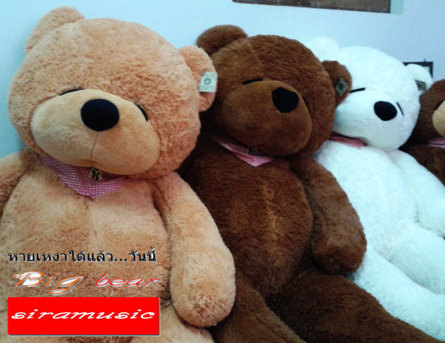 ตุ๊กตาหมี ตัวใหญ่ รูปที่ 6