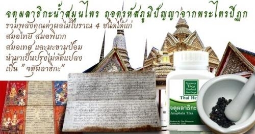 สรรพคุณ ดี ม๊าก ให้พลังเหลือเฟือ สมุนไพรเฉพาะกลุ่ม : คลองสาน รูปที่ 6