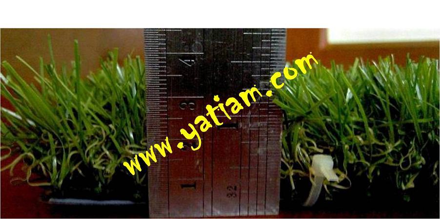 Sale หญ้าเทียมสามสีสำหรับตกแต่ง หนา35มม จำกัดไม่เกิน200ตร.ม รูปที่ 7