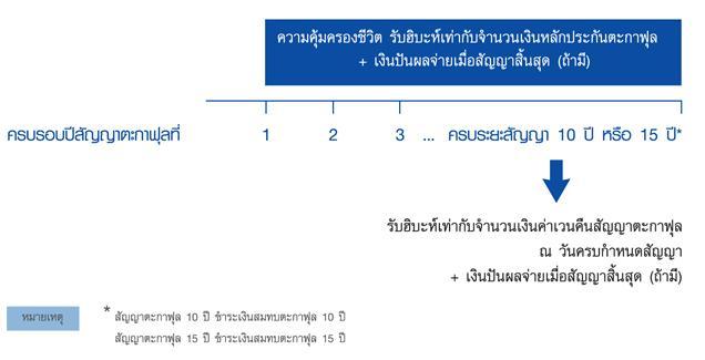 ตะกาฟุล ไทยประกันชีวิต การออมอย่างเป็นระบบ ตามหลักศาสนาอิสลามทุกป รูปที่ 3
