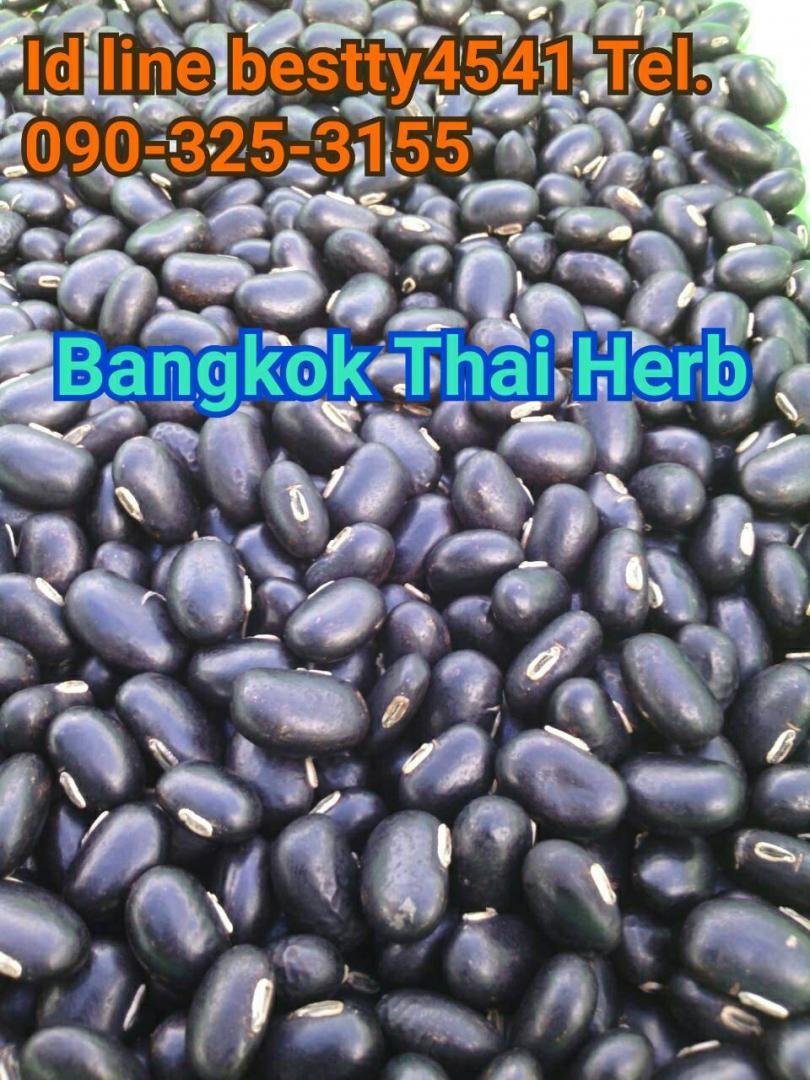 จำหน่ายเม็ดสมุนไพรหมามุ่ยอินเดียสดเพื่อการนำไปแปรรูป กก.ละ 185 บาท รูปที่ 3