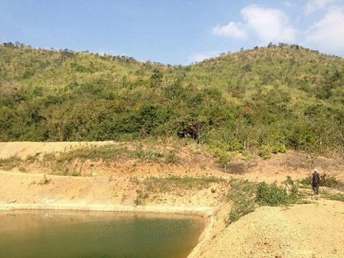 Land for Sale ขายด่วนที่ดิน 47 ไร่ อ.แก่งกระจาน จ.เพชรบุรี รูปที่ 6