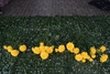 รูปย่อ ขายปลีก-ส่ง ดอกไม้ประดิษฐ์ ดอกไม้ปลอม ดอกไม้ผ้า โครงเหล็กดัดจัดดอ รูปที่4