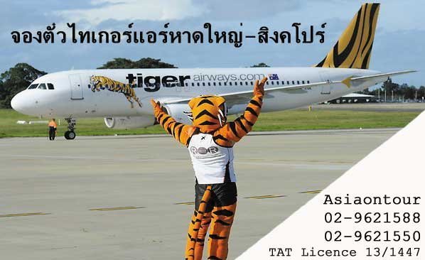 จองตั๋วเครื่องบินไทเกอร์แอร์ Tiger air หาดใหญ่ สิงคโปร์ โดยตัวแทนจำหน่ายอย่างเป็นทางการ โทร02-9621588- รูปที่ 1