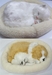 รูปย่อ ตุ๊กตาแมวนอนหลับ หมานอนหลับ หายใจได้ รูปที่1