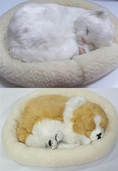 ตุ๊กตาแมวนอนหลับ หมานอนหลับ หายใจได้