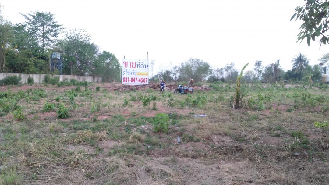 ขายที่ดิน 5 ไร่ รูปที่ 4