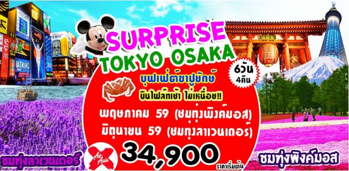 ทัวร์ญี่ปุ่น SURPRISE PINKMOSS TOKYO  OSAKA 6 วัน 4 คืน บิน XJ มีขาปูยักษ์ รูปที่ 1