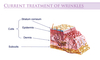 รูปย่อ Biotopix Advanced Anti-Wrinkles Treatment ลดริ้วรอย ร่องลึก เหี่ยวย่น รูปที่2