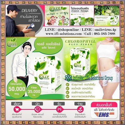 Colly Chlorophyll Plus Fiber คอลลี่ คลอโรฟิลล์ พลัส ไฟเบอร์ กลิ่นชาเขียว ผิวสวยจากภายในสู่ภายนอก รูปที่ 1