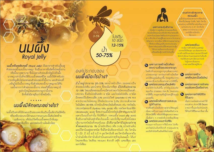 BeeHive จำหน่ายนมผึ้งสด(Royal Jelly) และน้ำผึ้งบำรุงร่างกายและผิว รูปที่ 2