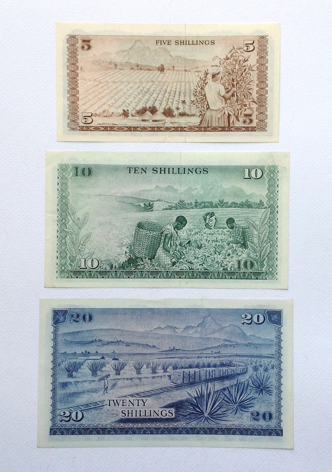 ธนบัตรเก่า ประเทศ Kenya ปี 1972 สภาพใหม่ ไม่ผ่านการใช้ รูปที่ 3