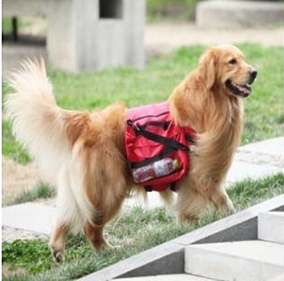 Dog Backpack รูปที่ 1