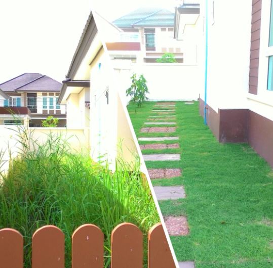 รับจ้างตัดหญ้า ตัดแต่ง ตกแต่งสวน ดูแลสวนหย่อม ฯล รูปที่ 4