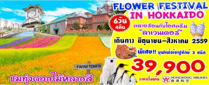 ทัวร์ญี่ปุ่น Flower Festival In Hokkaido 6 วัน 4 คืน บิน HK ชมทุ่งดอกลาเวนเดอร์และดอกไม้หลากสี รูปที่ 1