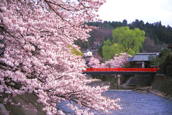 ทัวร์ญี่ปุ่น JAPAN APLS TAKAYAMA NAGOYA 5D 3N BY JL เดินทางเดือนพฤษภาคม - มิถุนายน 59 ราคาเริ่ม 41,900 บาท รูปที่ 1