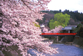 ทัวร์ญี่ปุ่น JAPAN APLS TAKAYAMA NAGOYA 5D 3N BY JL เดินทางเดือนพฤษภาคม - มิถุนายน 59 ราคาเริ่ม 41,900 บาท