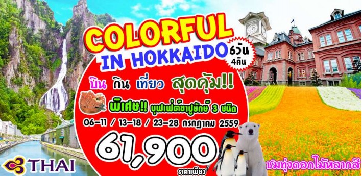 ทัวร์ญี่ปุ่นฮอกไกโด 6 วัน 4 คืน Colorful In Hokkaido  บิน TG ชมทุ่งดอกลาเวนเดอร์อันงดงาม รูปที่ 1