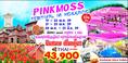 ทัวร์ญี่ปุ่น ฮอกไกโด PINK MOSS 5วัน3คืน เดินทางเดือนพฤษภาคม 59 บินTG ราคาเพียง 43,900 บาท