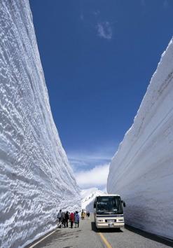 ทัวร์ญี่ปุ่น TAKAYAMA JAPAN ALPS SNOW WALL 7วัน 4คืน เดินทางเดือนพฤษภาคม 59 บินTG ราคาเริ่ม 59,900 บาท รูปที่ 1