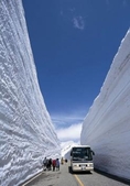 ทัวร์ญี่ปุ่น TAKAYAMA JAPAN ALPS SNOW WALL 7วัน 4คืน เดินทางเดือนพฤษภาคม 59 บินTG ราคาเริ่ม 59,900 บาท