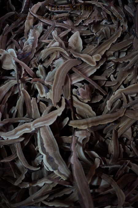 ขาย เห็ดหลินจืออบแห้ง (Lingzhi Mushroom) เห็ดหลินจือแดง คัดสรรคุณภาพสูง เกรดคัดชิ้นสวย ใหม่ รูปที่ 6