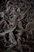 รูปย่อ ขาย เห็ดหลินจืออบแห้ง (Lingzhi Mushroom) เห็ดหลินจือแดง คัดสรรคุณภาพสูง เกรดคัดชิ้นสวย ใหม่ รูปที่6